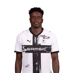 Brice Samba